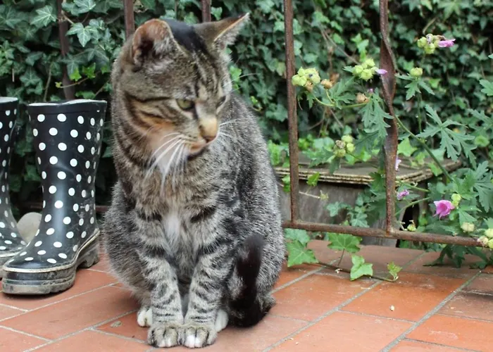 Tante Berta Hasselberg (Schleswig-Holstein)