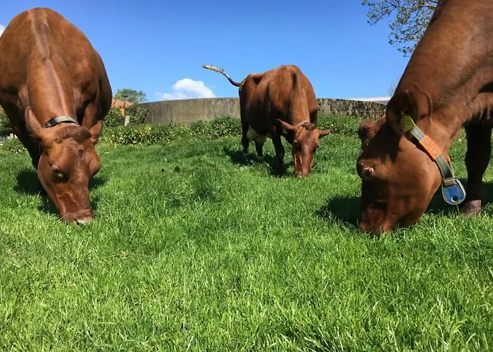 Tante Berta Apartamento